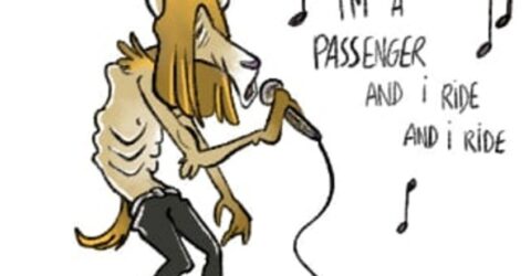 12-LE PASSAGER