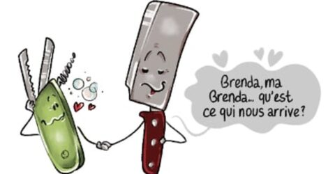 13-LE FREINAGE COUPLÉ