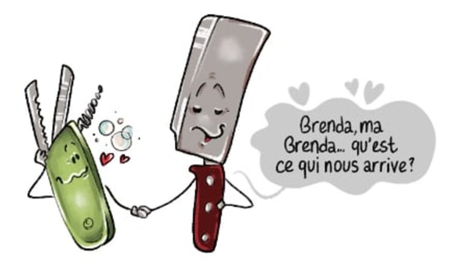 13-LE FREINAGE COUPLÉ