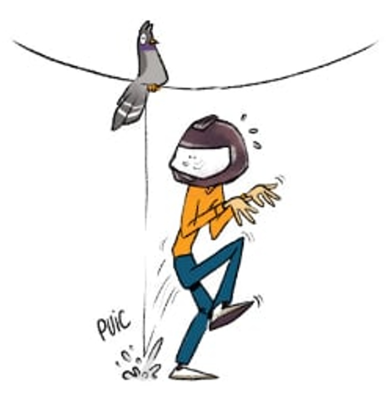 15-L’EVITEMENT